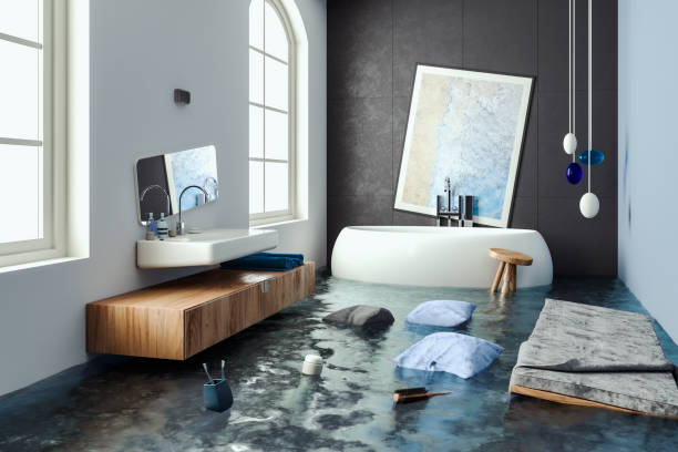 Best Professional water damage repair  in Topeka, IN