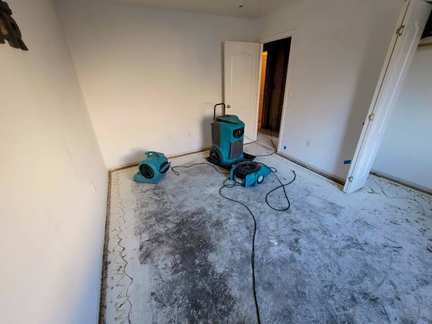 Best Water damage contractors near me  in Topeka, IN