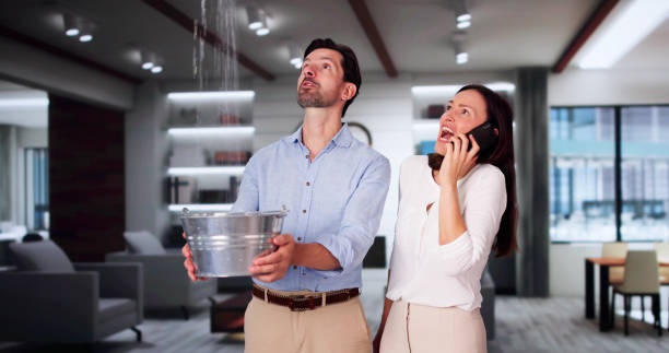 Best Fire Damage Restoration  in Topeka, IN